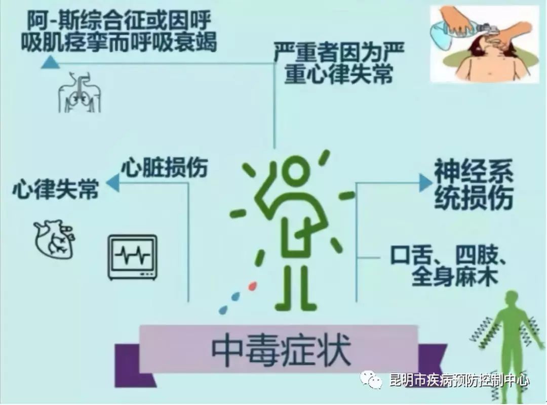 预防乌头碱中毒小常识