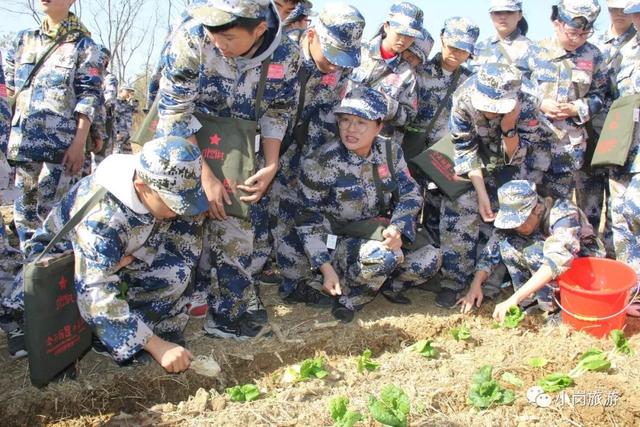 凤阳县实验中学怎么样?800余名师生分走进小岗村(图20)