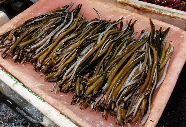 鳝鱼有活的和杀好的鳝丝两种,鳝鱼卖55元,而处理好的鳝丝卖65元一斤.