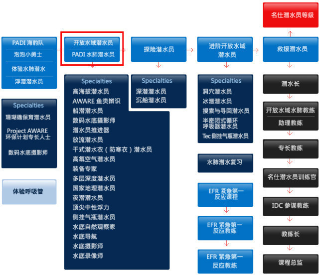 探索海洋之美——三亚潜水体验之旅