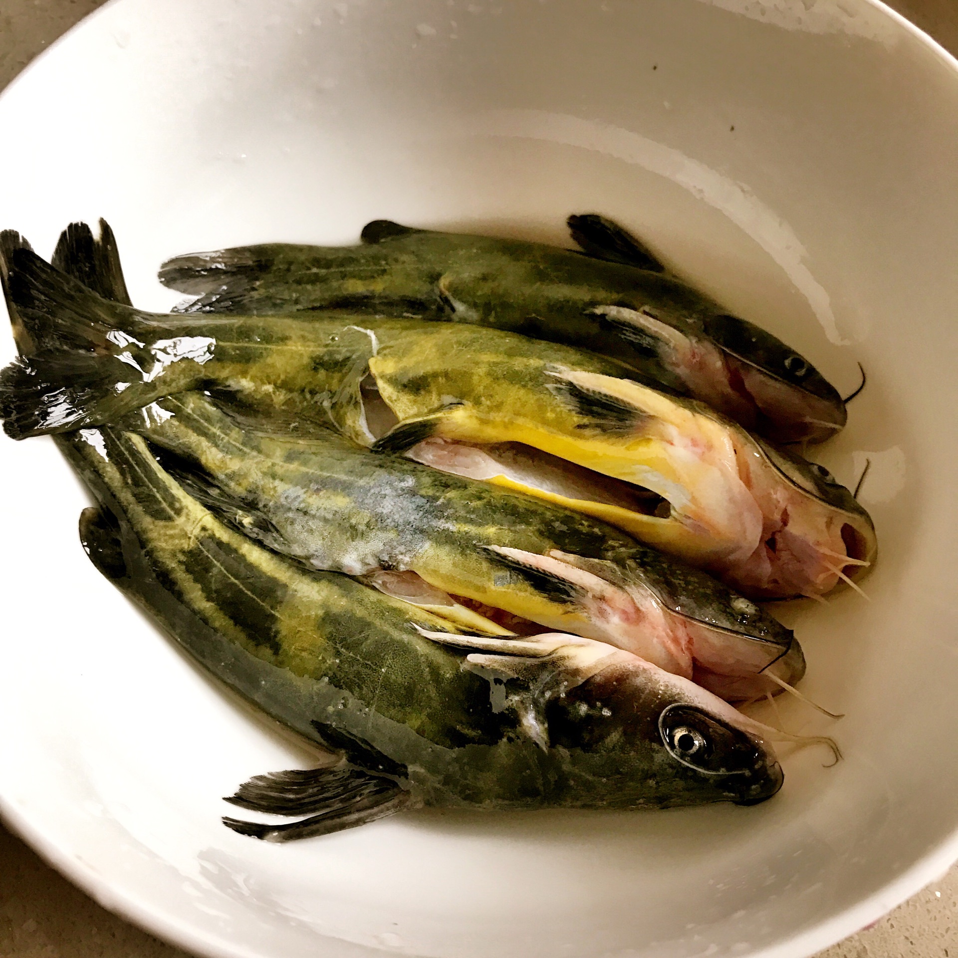 十二生肖2019年12月18日运气0202