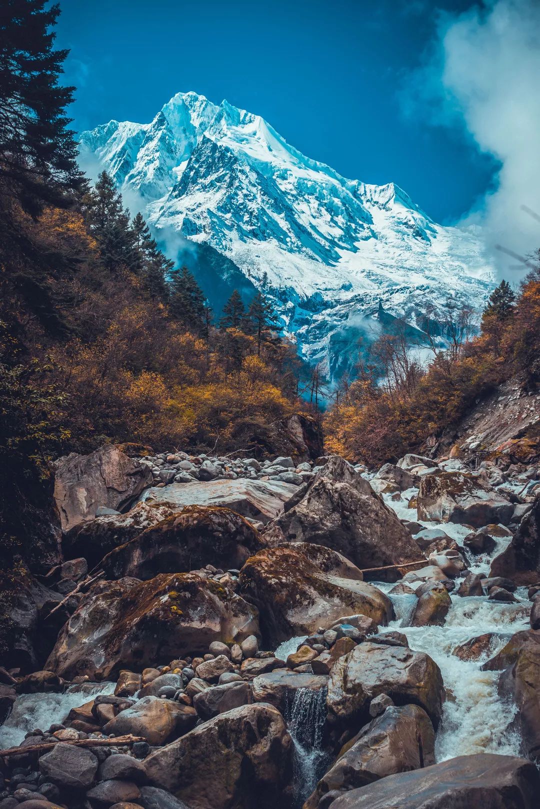 从11月开始,四川九寨沟,黄龙,海螺沟等知名景区陆续实行优惠票价
