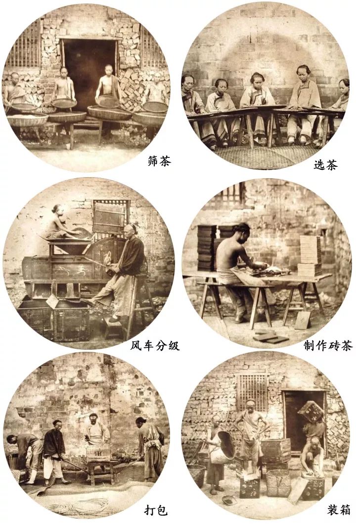 那是什么茶?_赤壁