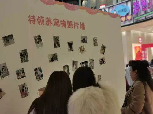 一路守护治愈ta的世界流浪动物救助车大连站回顾帖