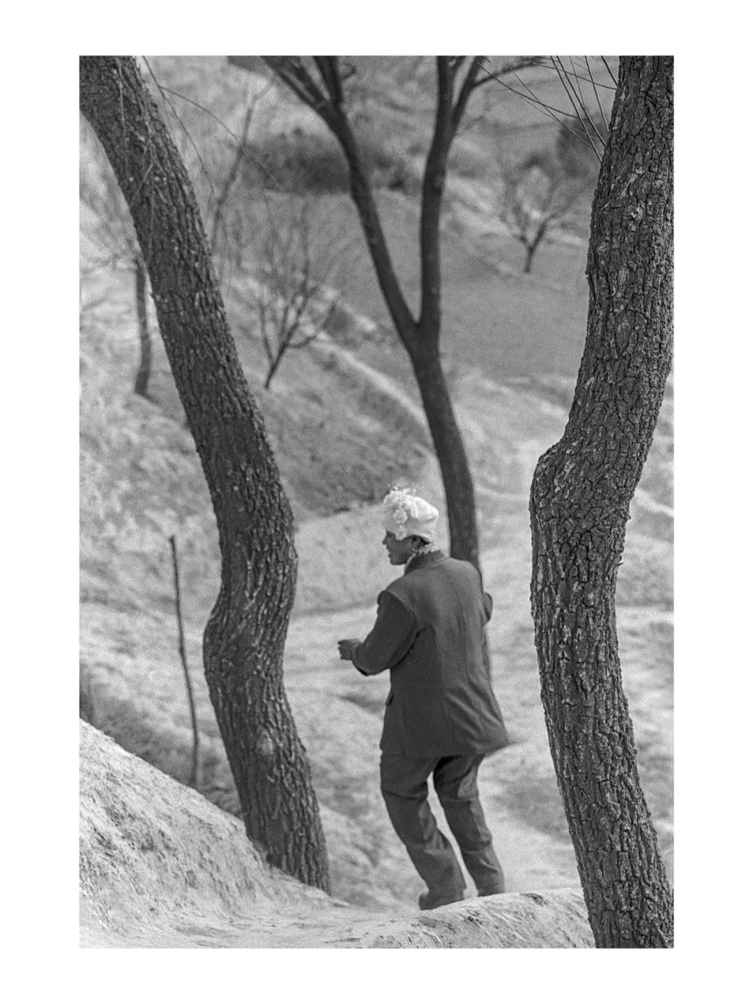 影像 | 王征 这是一个闪烁的时代,一个既令人不安又充满希望的时代.