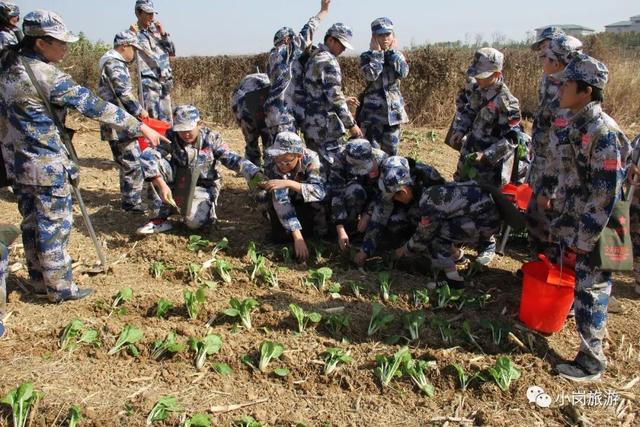 凤阳县实验中学怎么样?800余名师生分走进小岗村(图18)