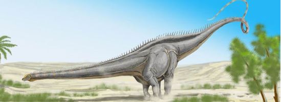 马门溪龙梁龙雷龙和腕龙傻傻分不清