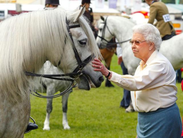 原创伊丽莎白二世女王93岁高龄仍在骑马行进参加纪念日服务