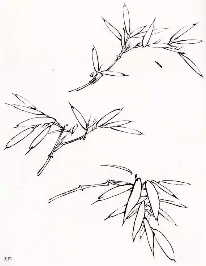 图文教程双勾竹画法步骤