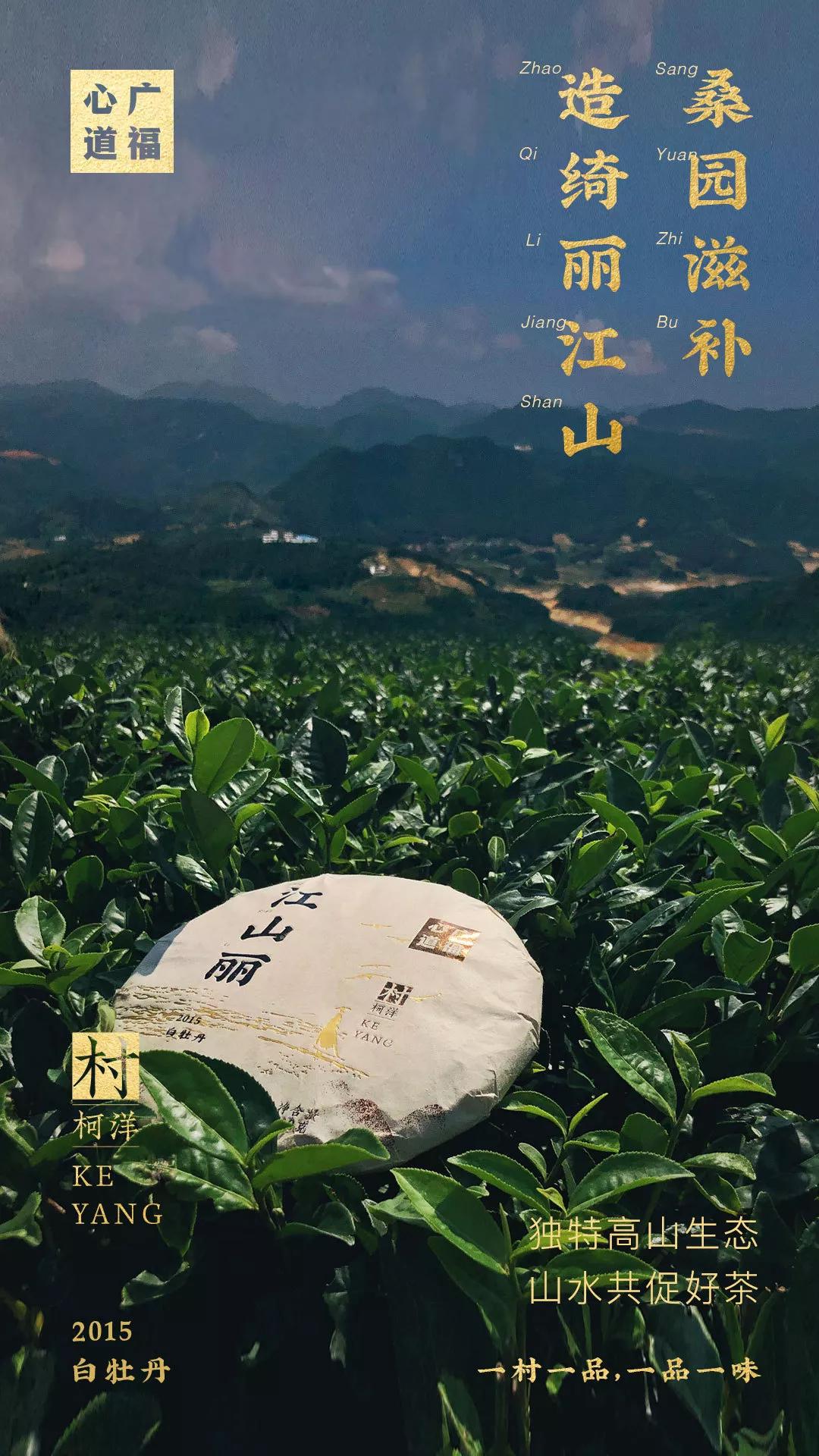 寻访名村落江山丽故乡厚重茶韵始于绝美江山心品上市