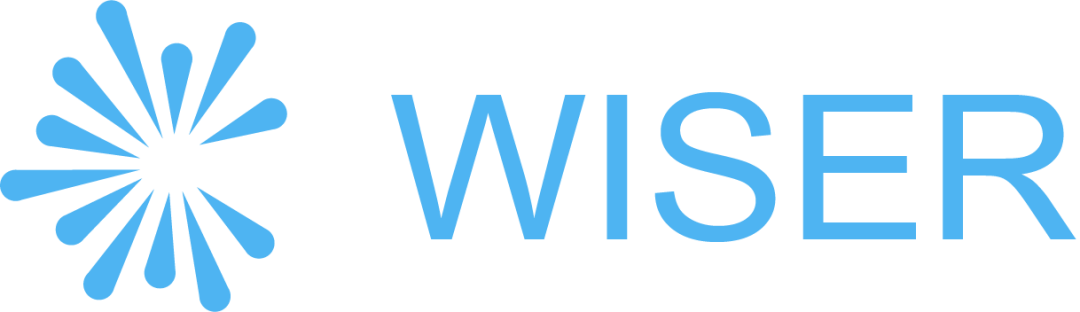 wiservinci是一家专注于中国儿童英语早教的在线教育公司,为中国儿童