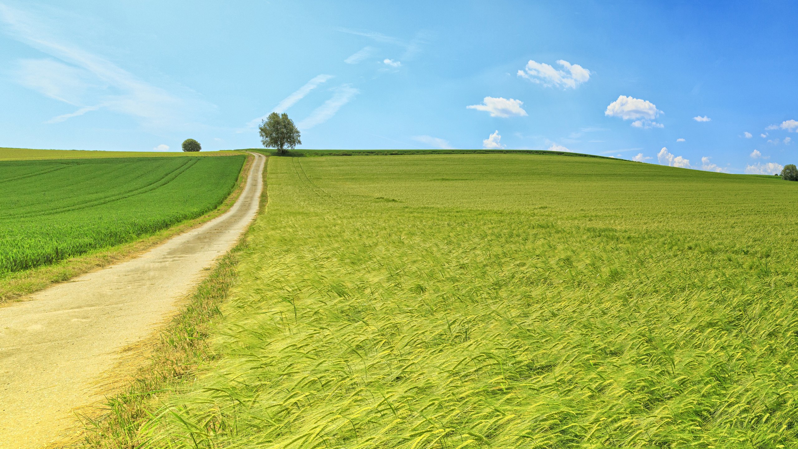 20202021北师大自然灾害学考研经验考研真题考研招生目录复试分数线