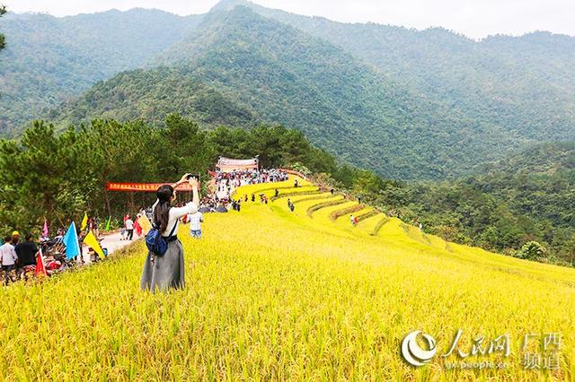 广西上思百马梯田美如画瑶寨人民笑开颜