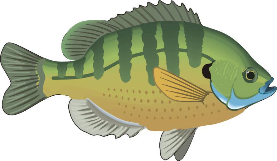 八字算命入门之消息篇02