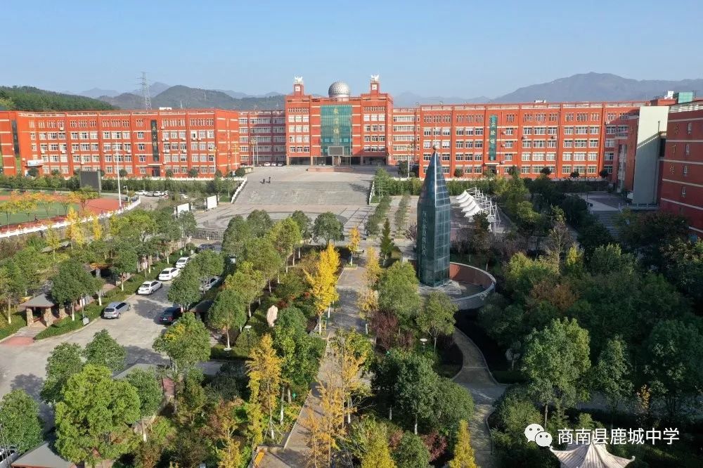 校园鹿城中学校长致家长的一封信