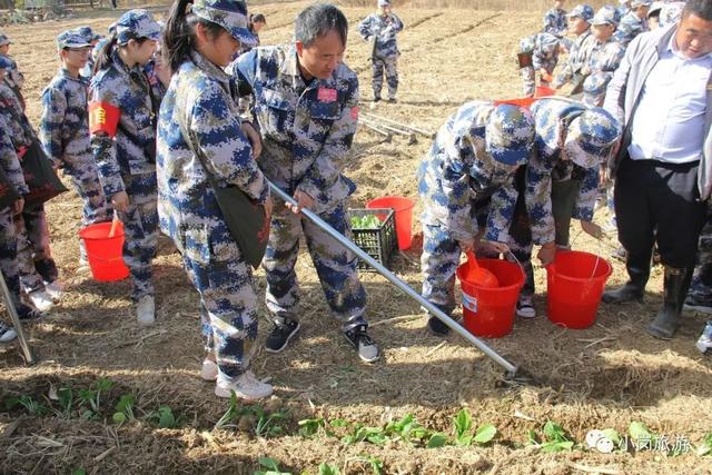 凤阳县实验中学怎么样?800余名师生分走进小岗村(图19)