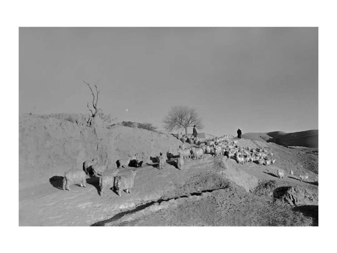 关于艺术家王征王征,中国摄影艺术最高奖金像奖的获得者,中国新时期