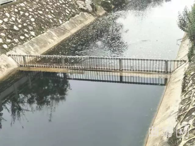 陆良四目河里的一幕