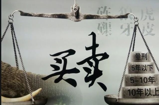 杨蒋银大谈买卖战略论世界世界一切皆买卖