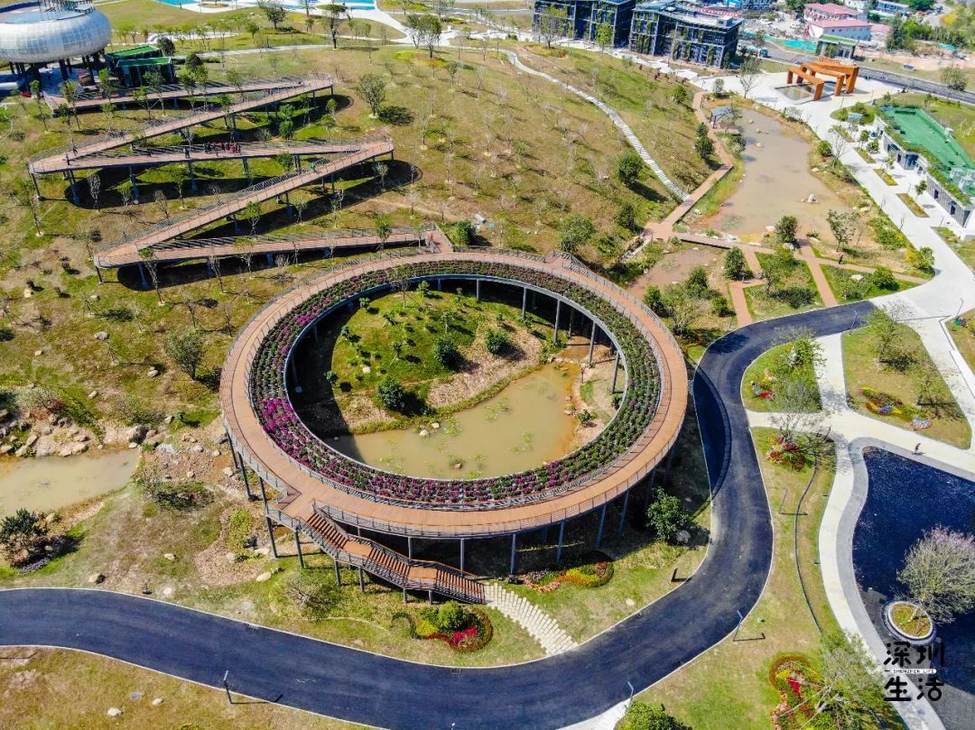深圳新开中心公园环形花瀑空中走廊夜景美炸天
