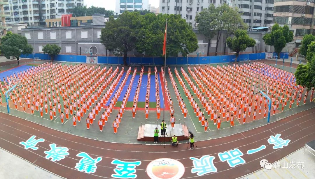 沙坪街道第一小学张斌 摄市职业技术学校林景文 摄鹤山实验中学鹤山市