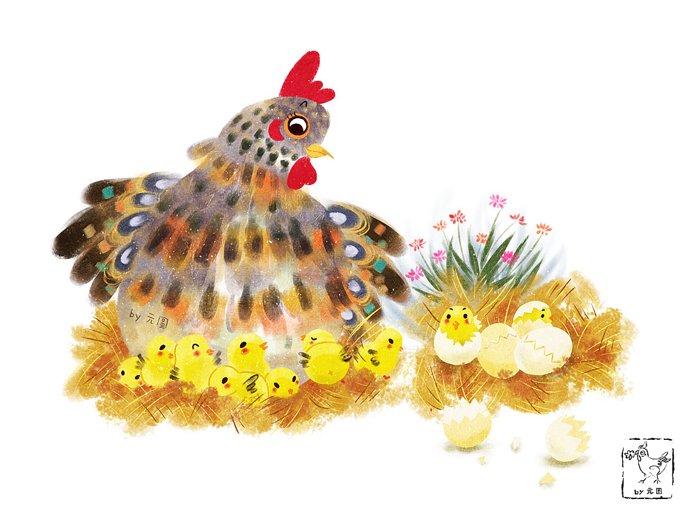 慢慢的小母鸡们长大,开始生蛋,给我和我弟激动坏了,我每天负责去鸡窝