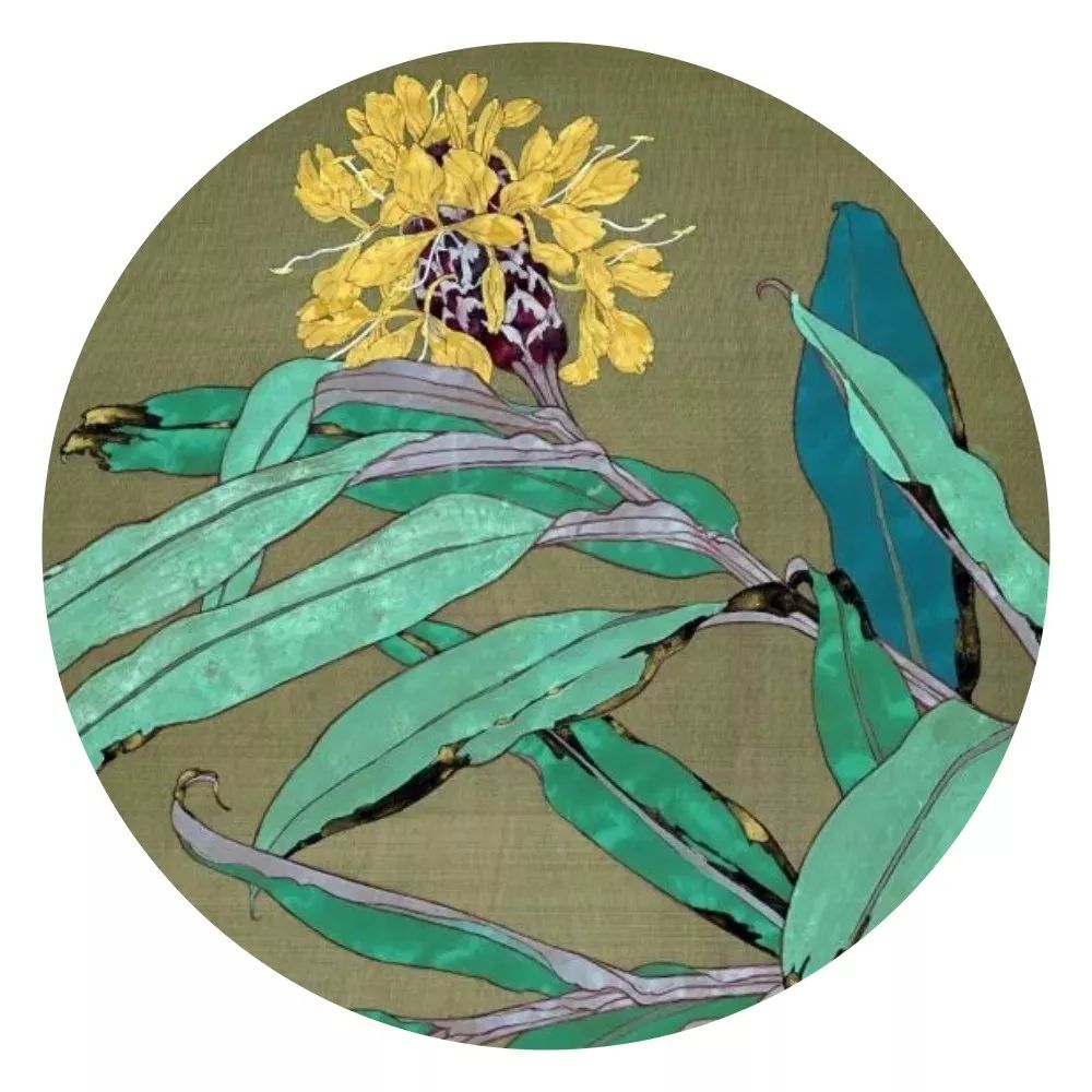 肖艳|工笔重彩花鸟技法班招生(学4幅150元)