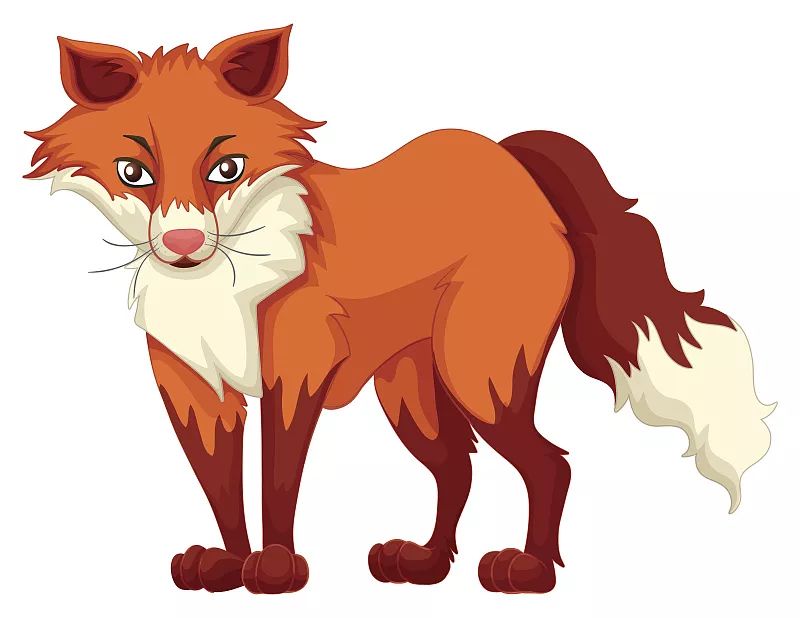 睡前故事狼群里诞生一只红色的小狼它会被赶走吗