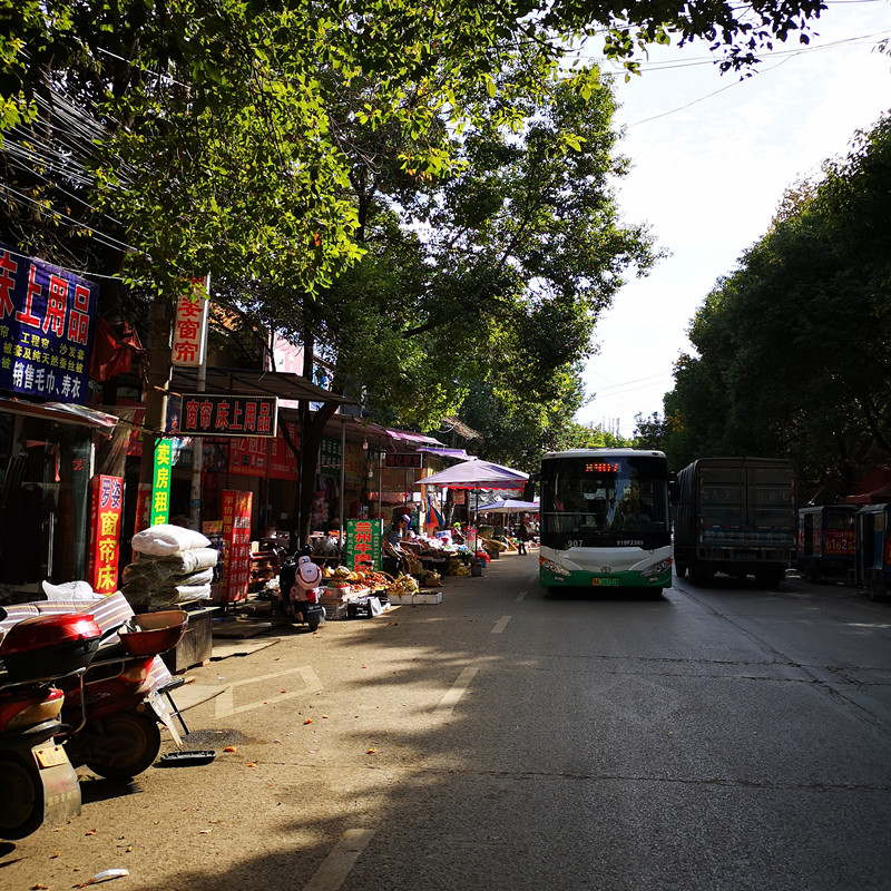 武汉东湖高新区豹澥桥北路占道经营——景观图