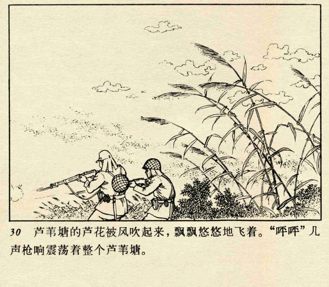 「pp连环画」经典小学语文《小英雄雨来》高宝生 绘「1973年版」_芦花