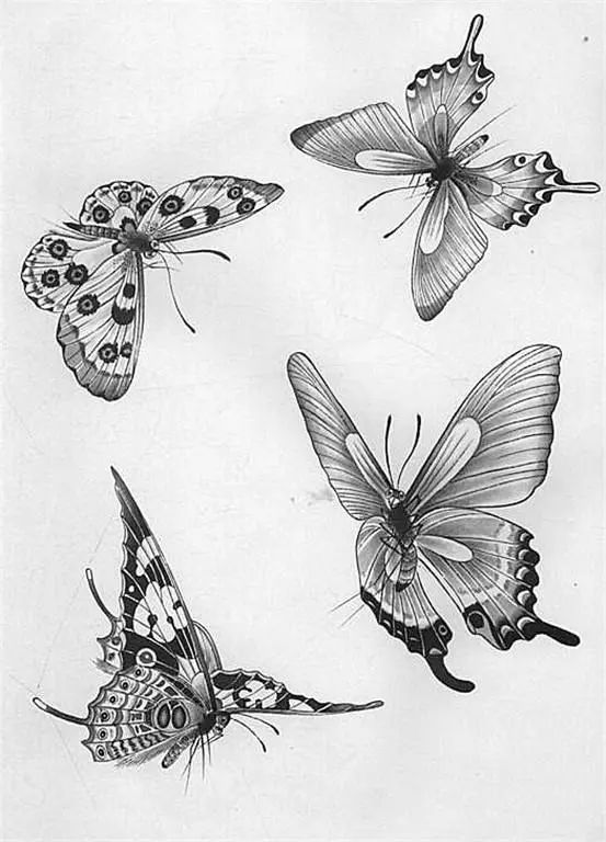 名家白描花鸟之蝴蝶篇