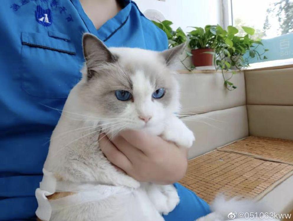 原创反转了大尺度录音曝光年度渣男要退圈