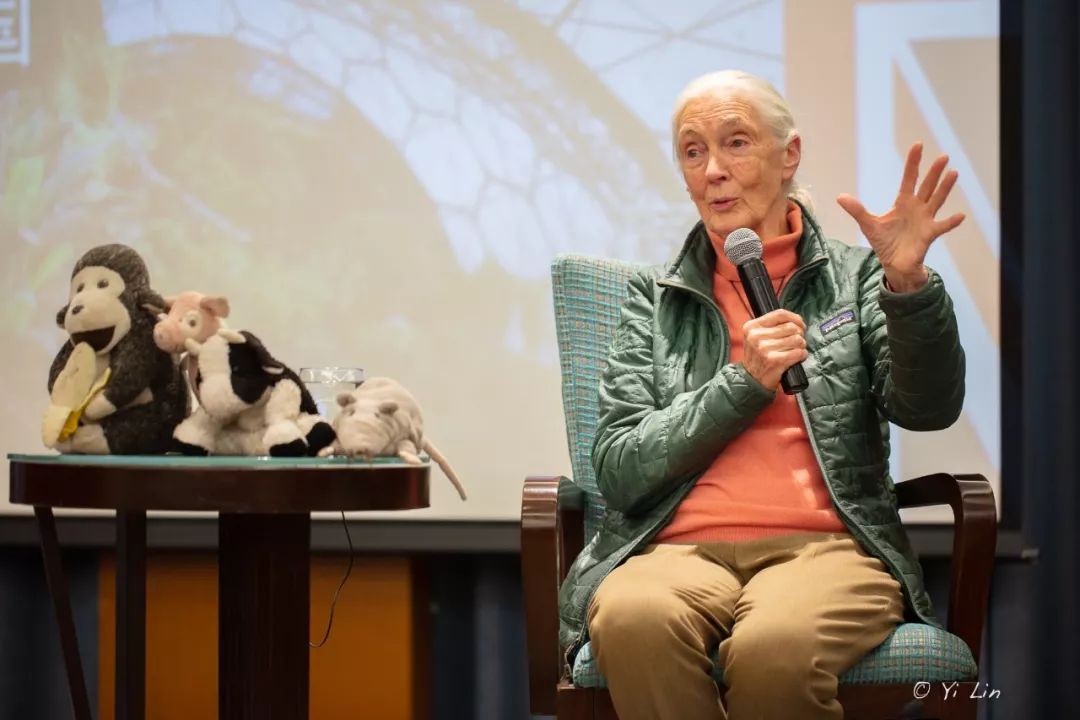 向珍古道尔博士致敬