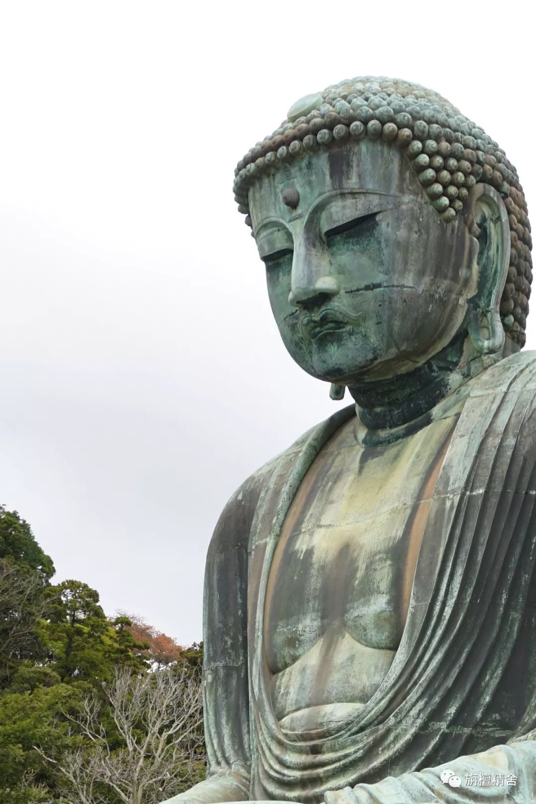 镰仓大佛大悲之美