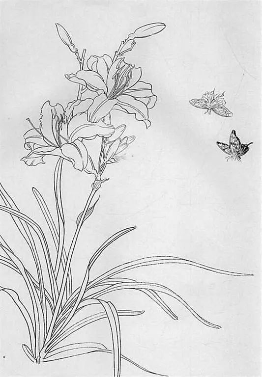 名家白描花鸟之蝴蝶篇