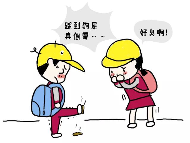 朋友和伙伴文明养犬归根到底是人的问题"铲屎官"不好当狗屎捡起手弄脏