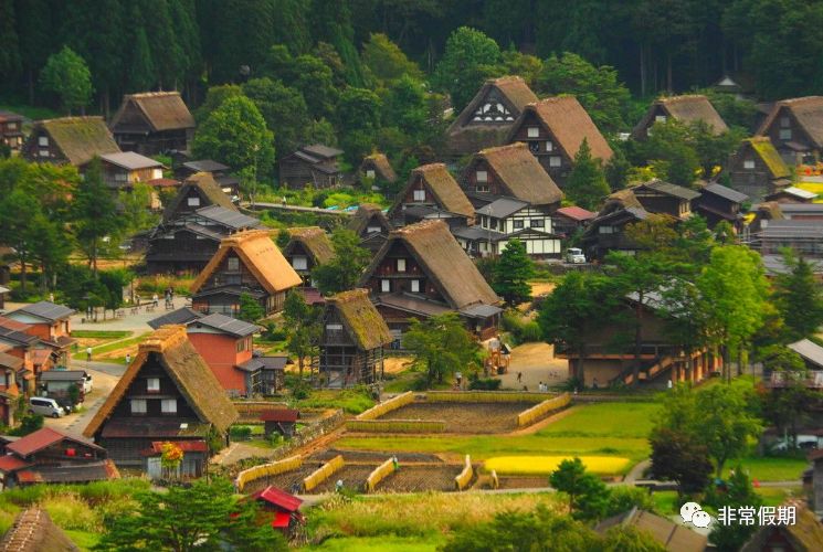 世间最美村落日本白川乡合掌村
