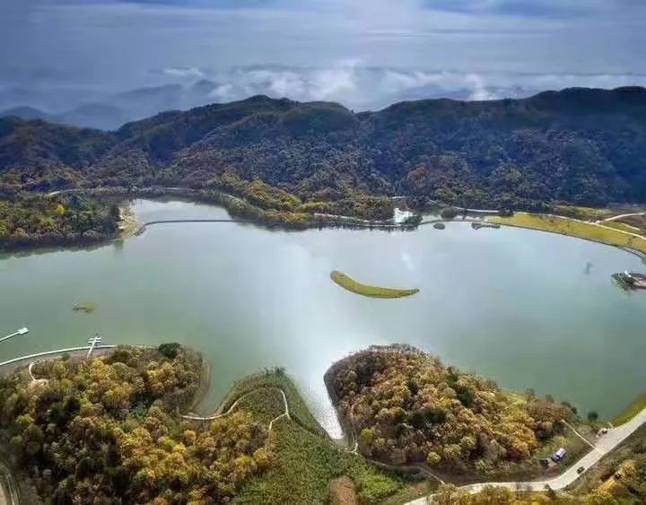 全省百強名村,鄉風文明十佳村,全國最美森林小鎮100例,森林康養基地