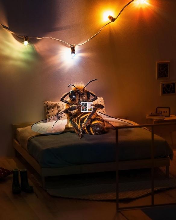 ins上超人气的"蜜蜂博主"日常都是什么画风?