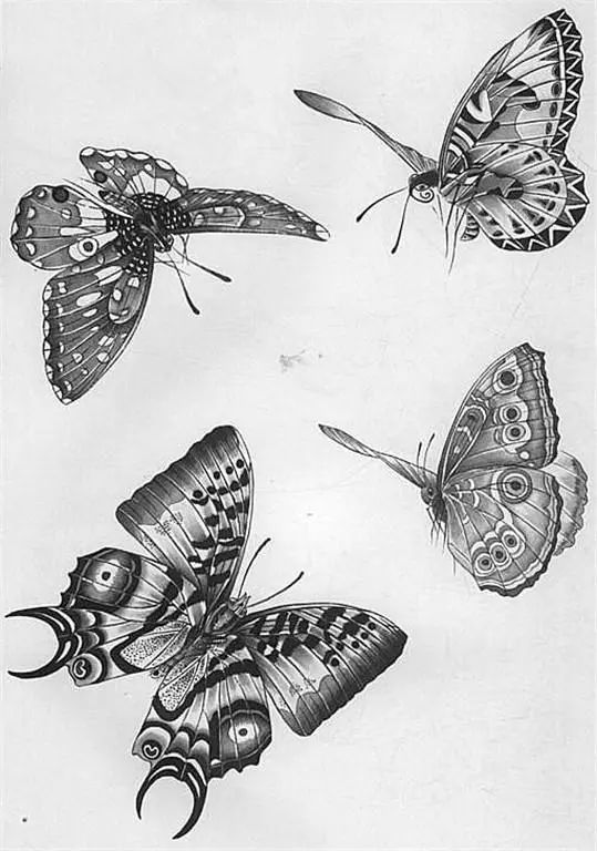 名家白描花鸟之蝴蝶篇