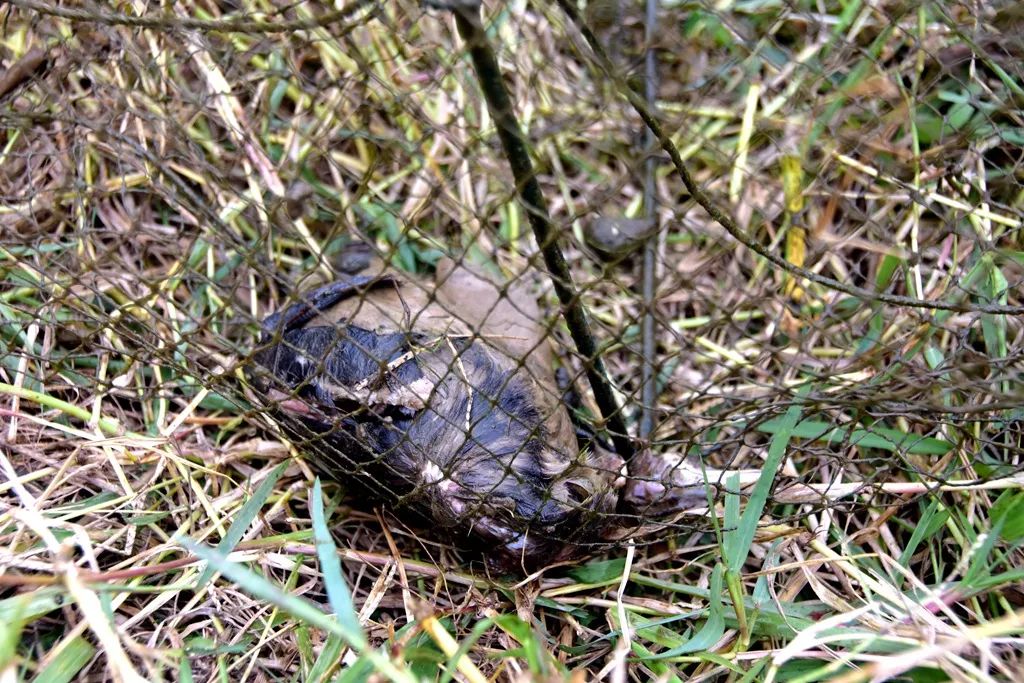 钓鱼人请别把素质丢在了水边