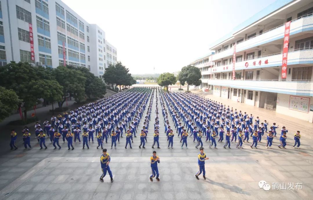 鹤山市昆仑学校任灿华 摄桃源镇中心小学李坚雄 摄沙坪街道第二小学邱