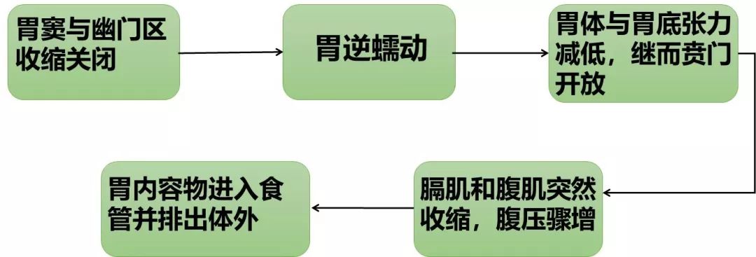 呕吐思维导图图片