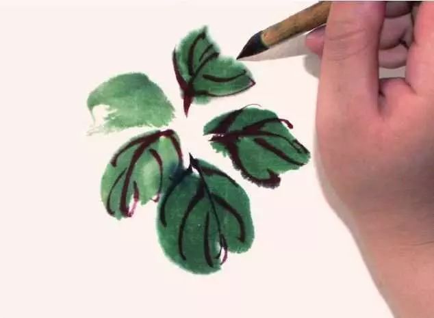 牡丹花叶的画法:分步骤讲解牡丹两种叶子画法,简单易学