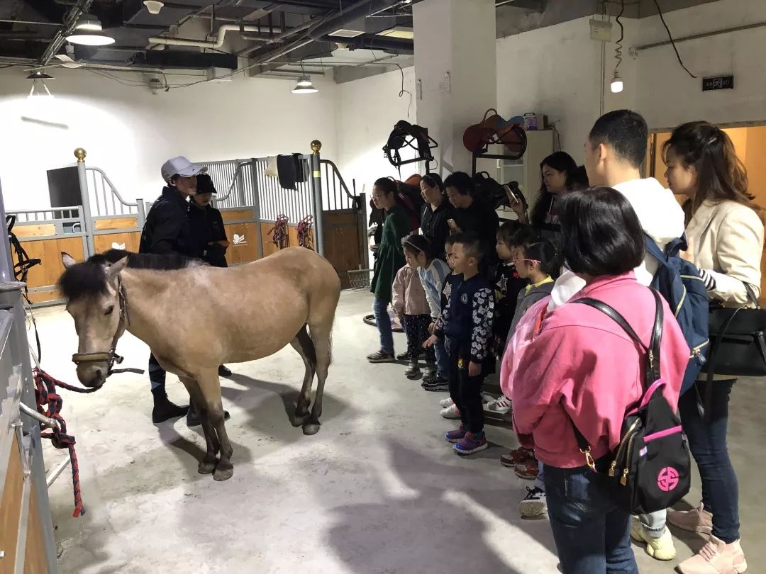 马育|商场马术之梅兰竹菊