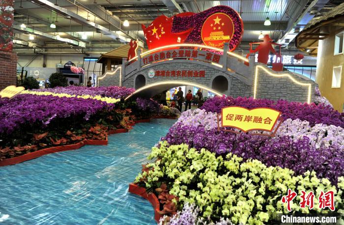 第十一届农博会第二十一届花博会在福建漳州开幕