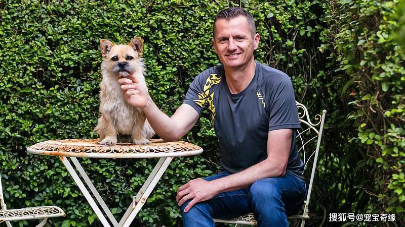 书名为《寻找戈壁:一只心胸开阔的小狗》(finding gobi: a little dog