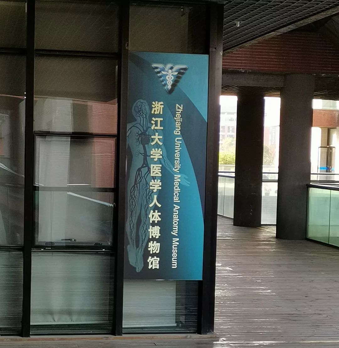 浙江大学人体博物馆图片