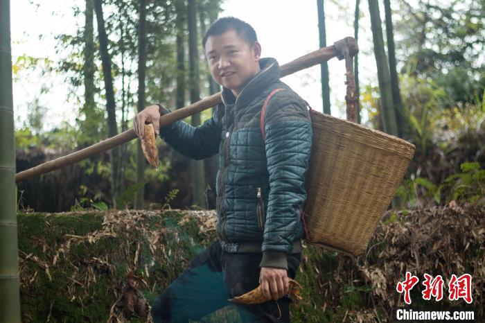 四川小伙从沿海回农村创业拍摄村里日常2年收获380万粉丝成网红