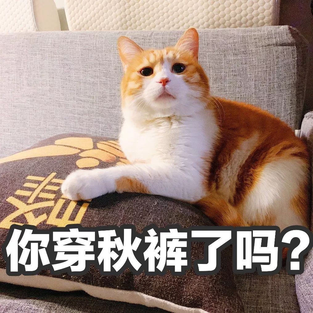 新一轮降温冻到发紫你穿秋裤了吗